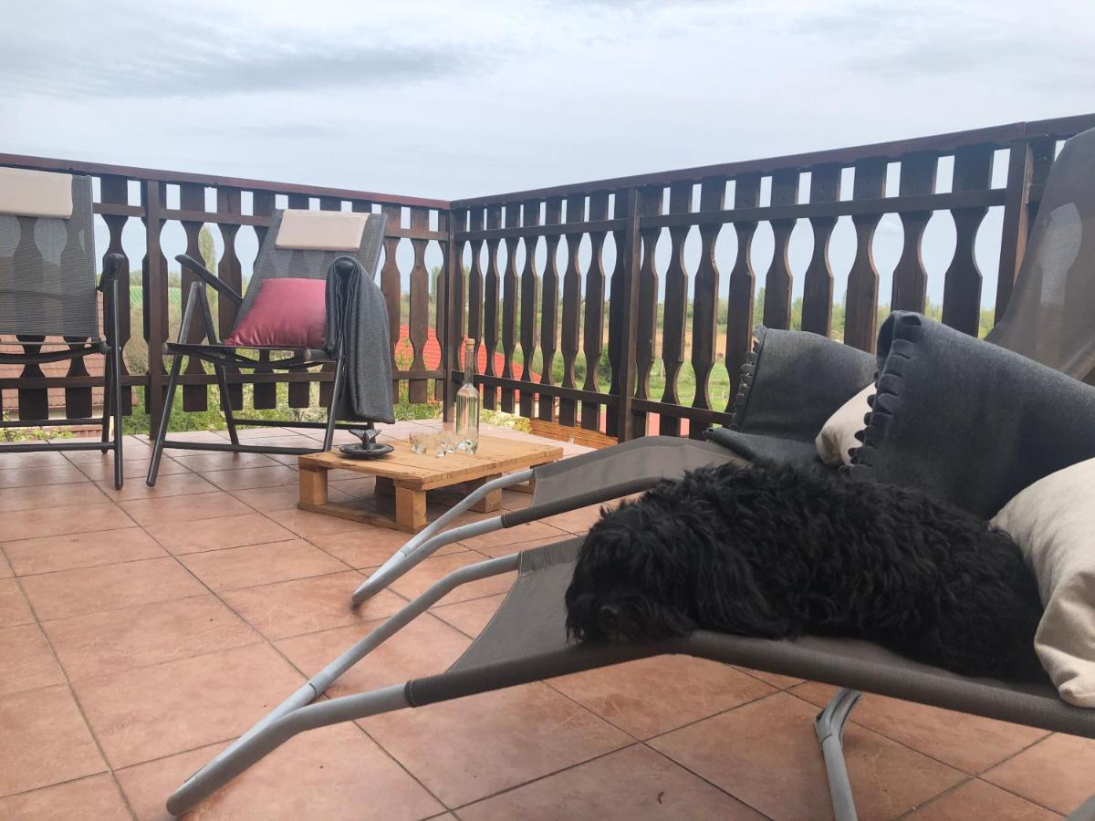 Balaton Apartman Paloznak Buitenkant foto