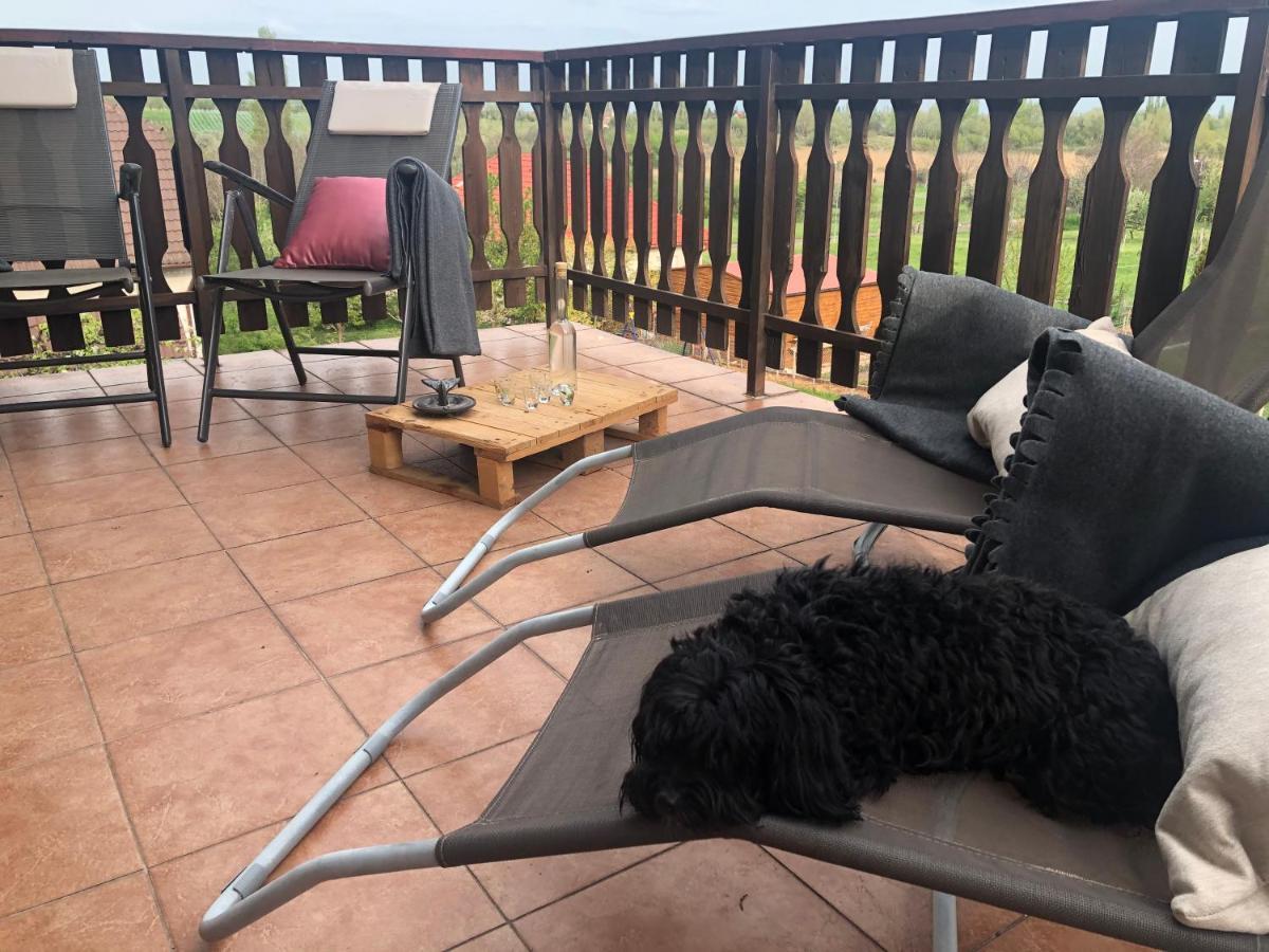 Balaton Apartman Paloznak Buitenkant foto
